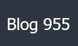 955.cz
