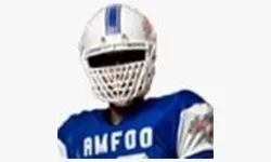 amfoo.de