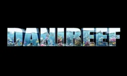 danireef.com