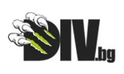 Div (div.bg)