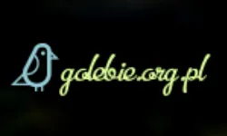 golebie.org.pl