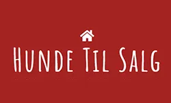 hunde-til-salg.dk