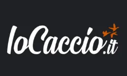 iocaccio.it