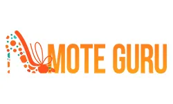moteguru.no