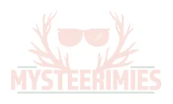 mysteerimies.fi