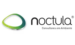 noctula.pt