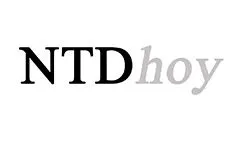 ntdhoy.com
