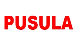 pusulagazetesi.com.tr