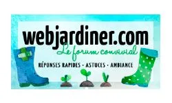 Netthagearbeid (webjardiner.com)