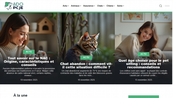 adopcje.org