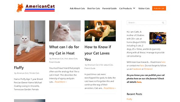 American cat (americancat.net)