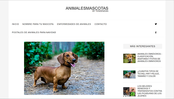 animalesmascotas.com