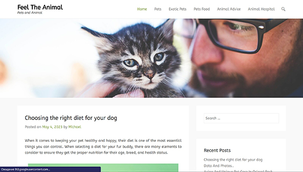 animalhospitalofpolaris.com