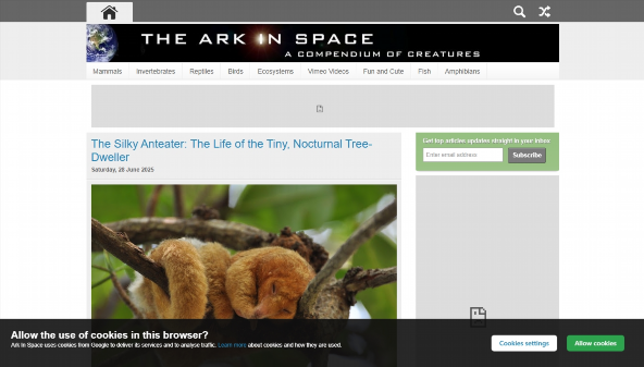 arkinspace.com