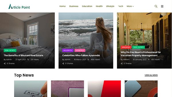 Artikelpunkt (article-point.com)