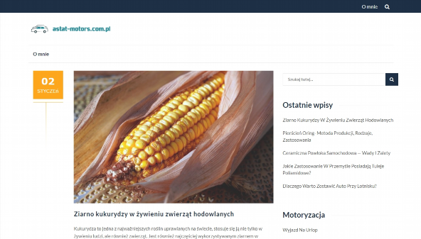 astat-motors.com.pl