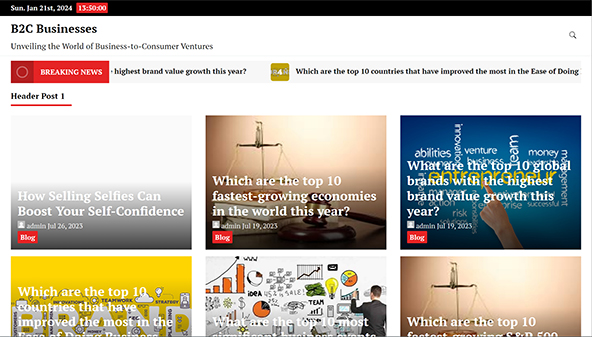 b2cbusinesses.com