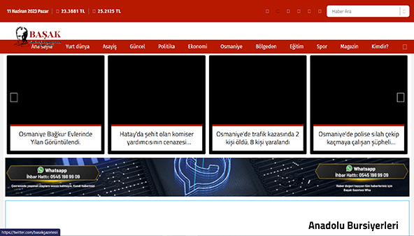 basakgazetesi.com