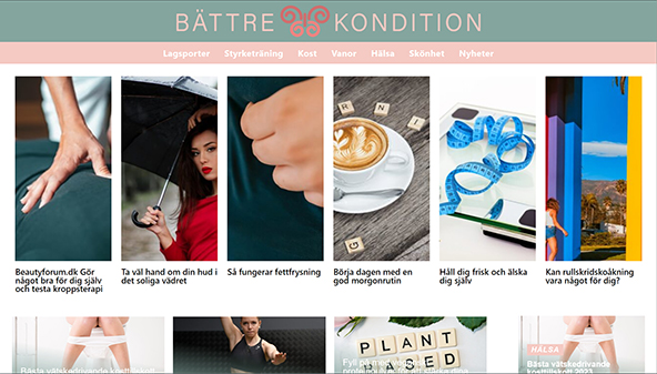 battrekondition.se