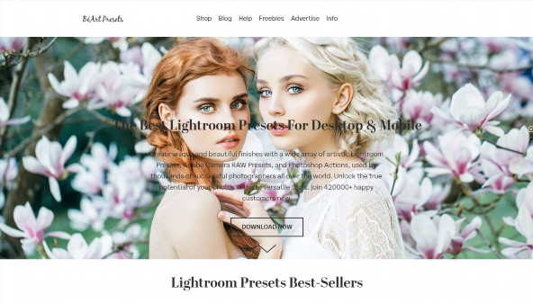 beart-presets.com