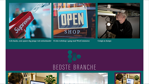 bedstebranche.dk