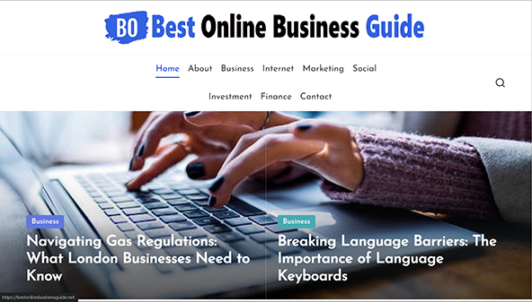 bestonlinebusinessguide.net