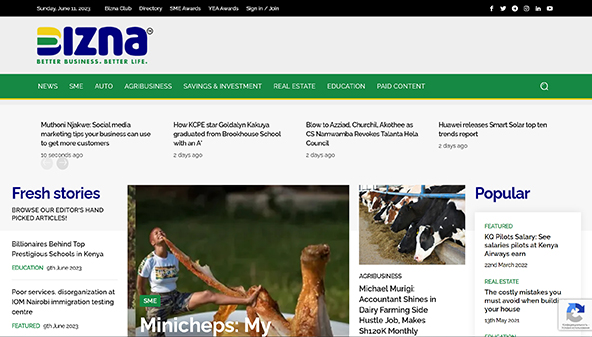 biznakenya.com