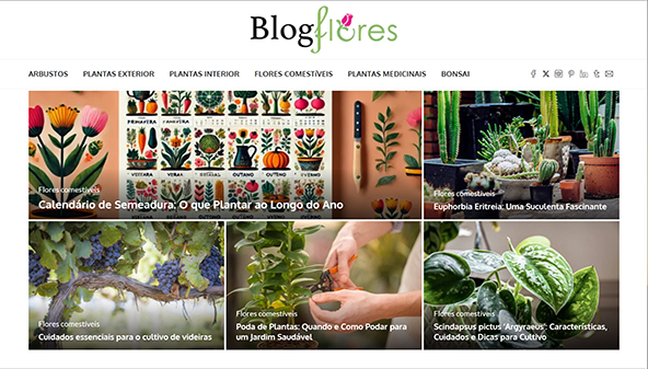 blog-flores.pt