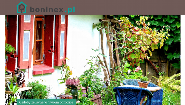 boninex.pl