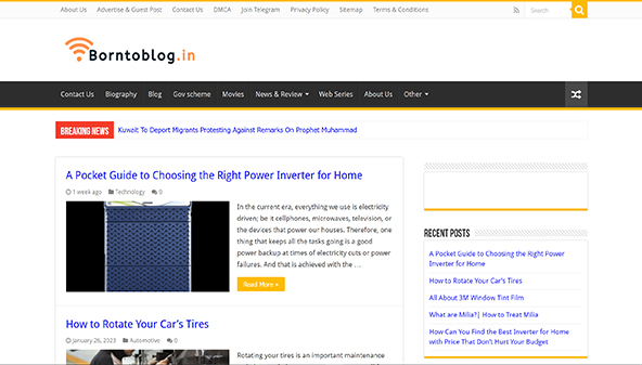 borntoblog.in