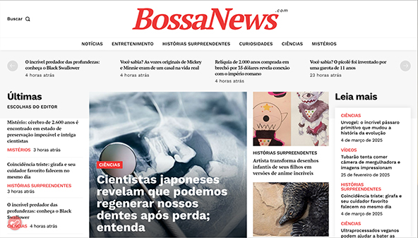 br.bossanews.com