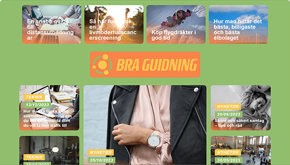 braguidning.se
