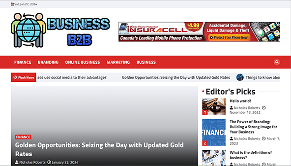 businessesb2b.com
