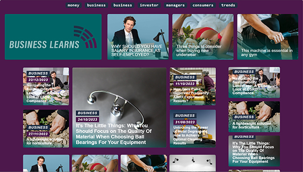 businesslearns.com