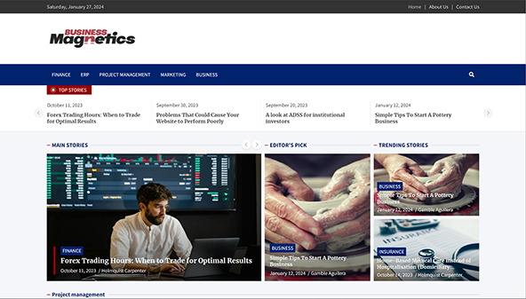 businessmagnetics.com