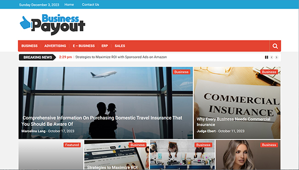 businesspayout.com