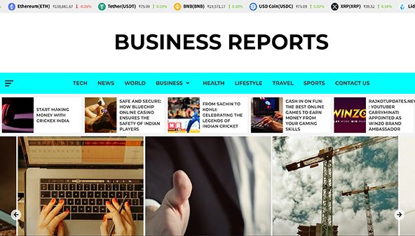 Verslo ataskaitos (businessreports.in)