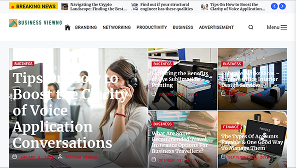 businessviewng.com