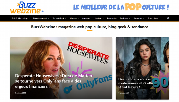 Buzz webzine (buzzwebzine.fr)