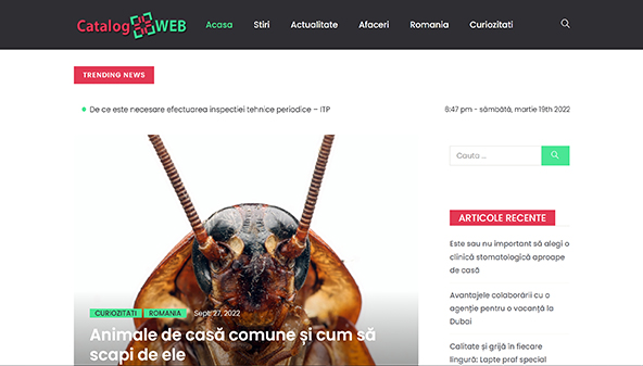catalog-web.ro