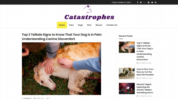 catcatastrophes.com