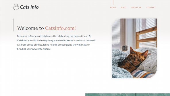 catsinfo.com