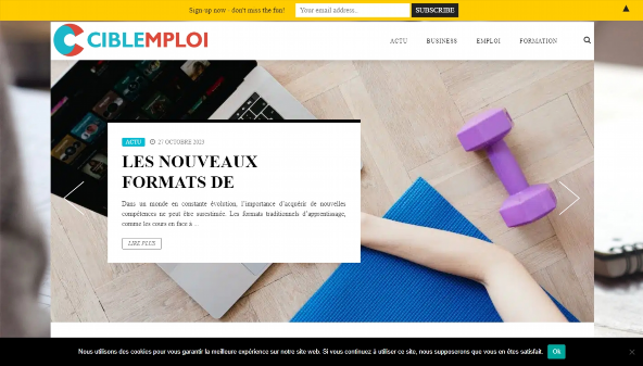 ciblemploi.com