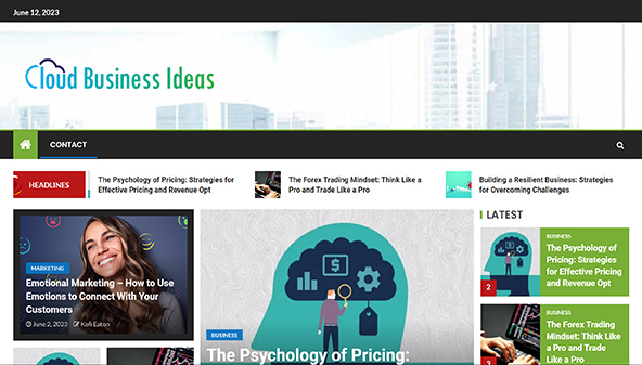 Ideas de negocio en la nube (cloudbusinessideas.com)