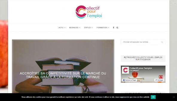 collectifpourlemploi.com
