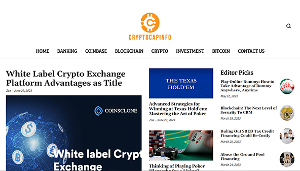 cryptocapinfo.com