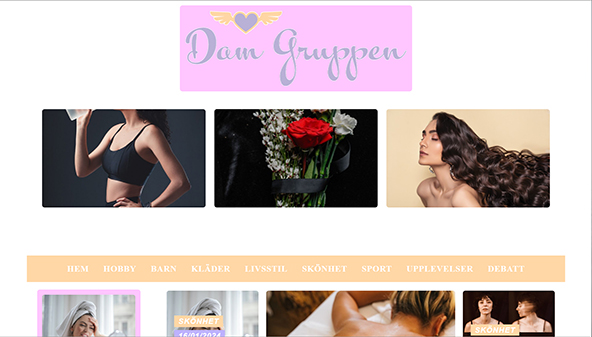 damgruppen.se