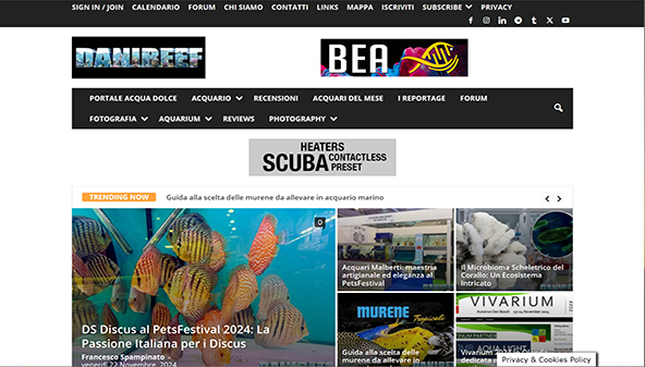 danireef.com