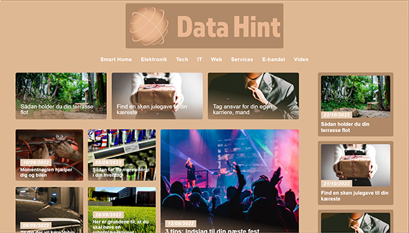 datahint.dk