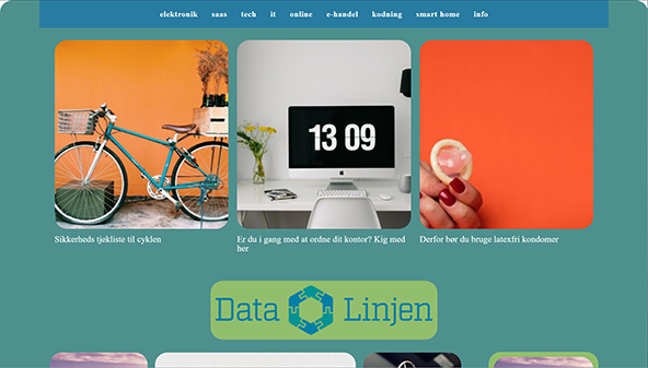 datalinjen.dk